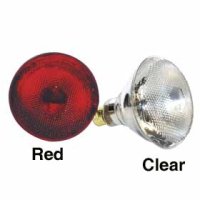 (image for) Infrared Heavy Duty Hard Glass Heat Bulb - Red 175 Watt