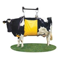 (image for) Easy Cow Lifter