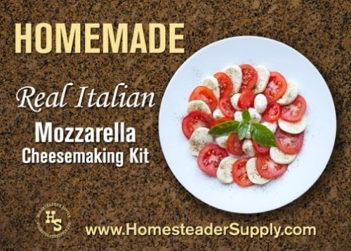 (image for) Italian Mozzarella Cheesemaking Kit